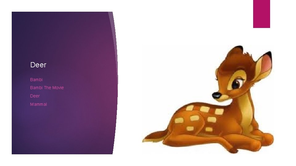 Deer Bambi The Movie Deer Mammal 