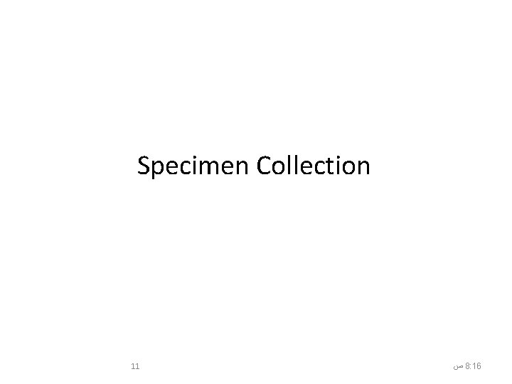 Specimen Collection 11 ﺹ 8: 16 