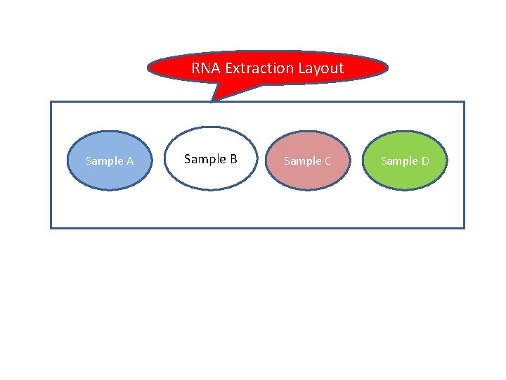 RNA Extraction Layout Sample A Sample B Sample C Sample D 