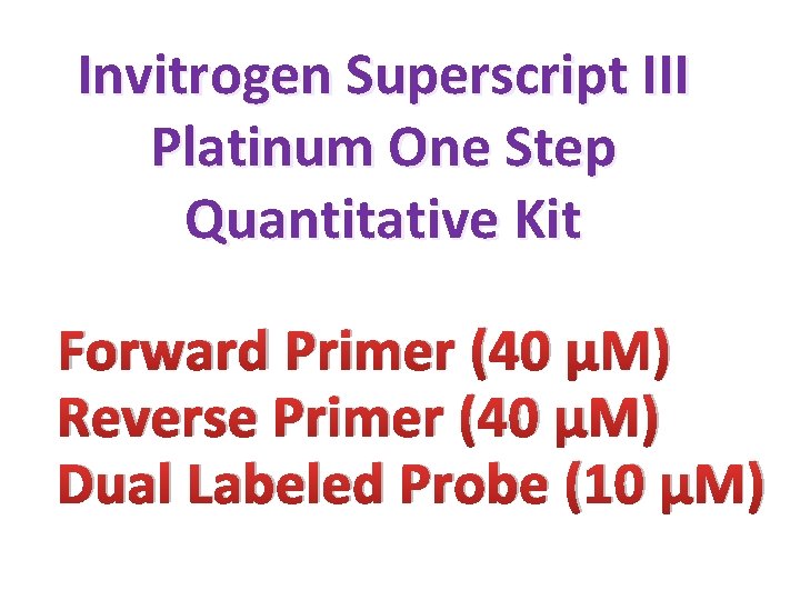 Invitrogen Superscript III Platinum One Step Quantitative Kit Forward Primer (40 µM) Reverse Primer