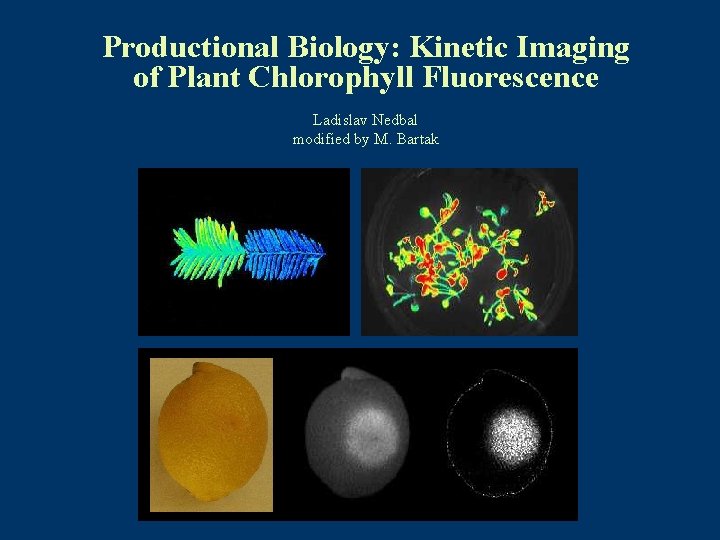 Productional Biology: Kinetic Imaging of Plant Chlorophyll Fluorescence Ladislav Nedbal modified by M. Bartak