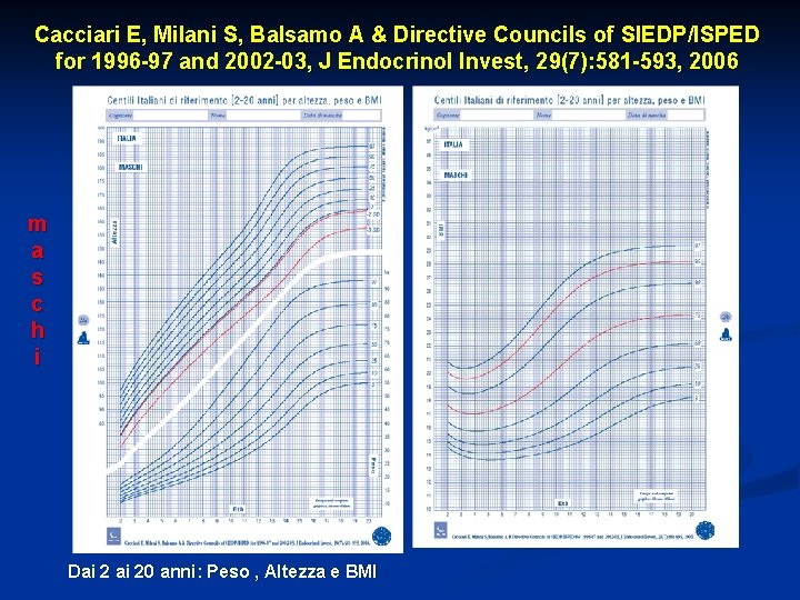 Cacciari E, Milani S, Balsamo A & Directive Councils of SIEDP/ISPED for 1996 -97