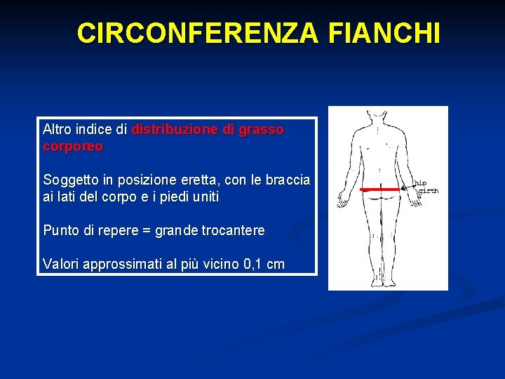 CIRCONFERENZA FIANCHI Altro indice di distribuzione di grasso corporeo Soggetto in posizione eretta, con