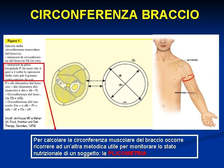 CIRCONFERENZA BRACCIO Per calcolare la circonferenza muscolare del braccio occorre ricorrere ad un’altra metodica