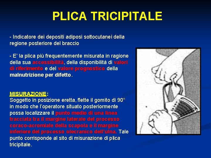 PLICA TRICIPITALE - Indicatore dei depositi adiposi sottocutanei della regione posteriore del braccio -