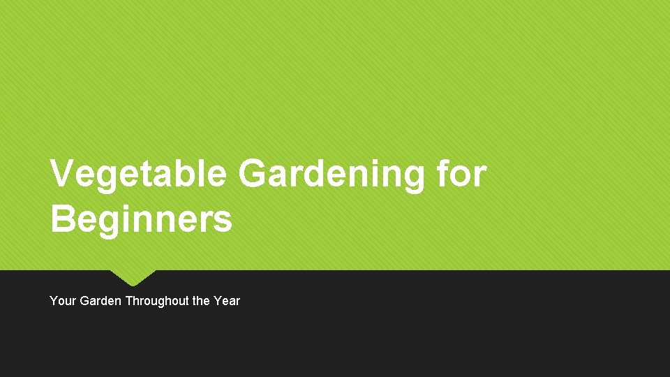 Vegetable Gardening for Beginners Your Garden Throughout the Year 