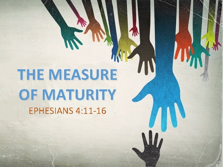 THE MEASURE OF MATURITY EPHESIANS 4: 11 -16 