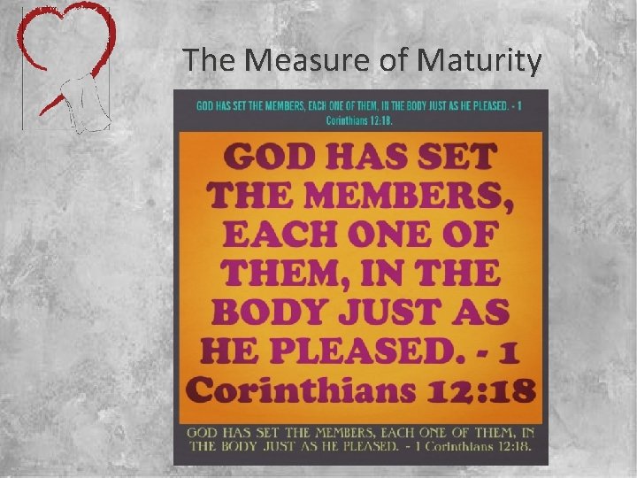 The Measure of Maturity 