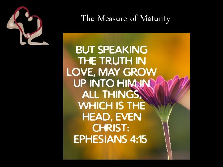 The Measure of Maturity 