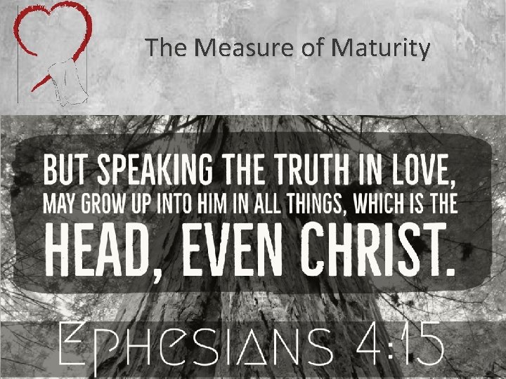 The Measure of Maturity 
