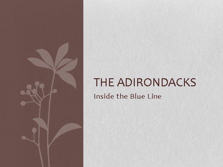 THE ADIRONDACKS Inside the Blue Line 