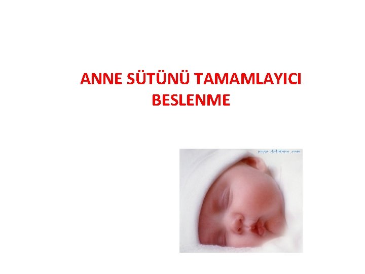 ANNE SÜTÜNÜ TAMAMLAYICI BESLENME 