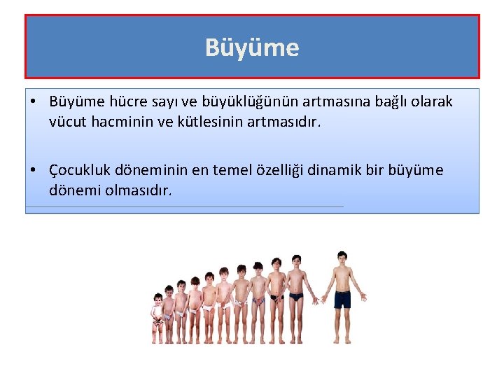 Büyüme • Büyüme hücre sayı ve büyüklüğünün artmasına bağlı olarak vücut hacminin ve kütlesinin