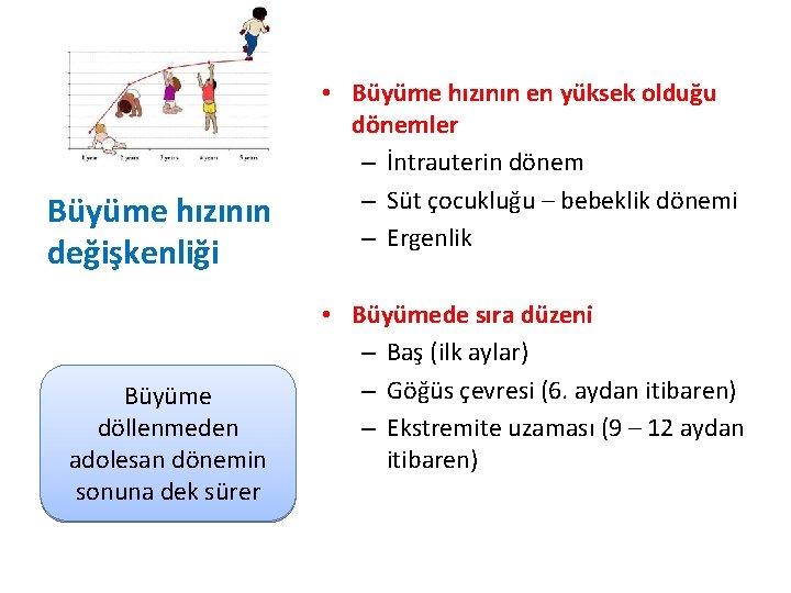 Büyüme hızının değişkenliği Büyüme döllenmeden adolesan dönemin sonuna dek sürer • Büyüme hızının en