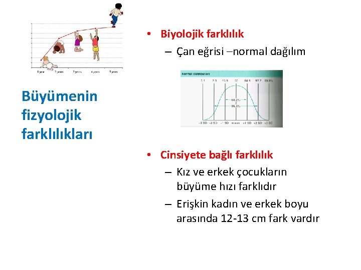  • Biyolojik farklılık – Çan eğrisi –normal dağılım Büyümenin fizyolojik farklılıkları • Cinsiyete