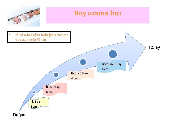 Boy uzama hızı • Miadında doğan bebeğin ortalama boy uzunluğu 50 cm 12. ay
