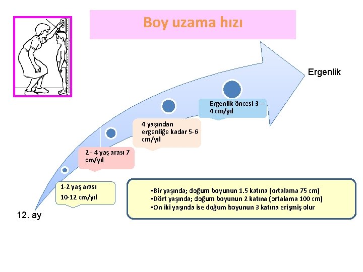 Boy uzama hızı Ergenlik öncesi 3 – 4 cm/yıl 4 yaşından ergenliğe kadar 5