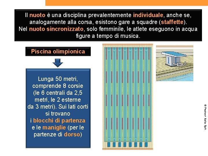 Il nuoto è una disciplina prevalentemente individuale, anche se, analogamente alla corsa, esistono gare