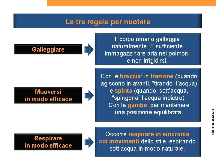 Le tre regole per nuotare Muoversi in modo efficace Con le braccia: in trazione