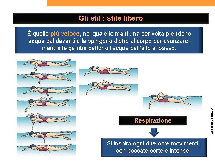 Gli stili: stile libero È quello più veloce, nel quale le mani una per