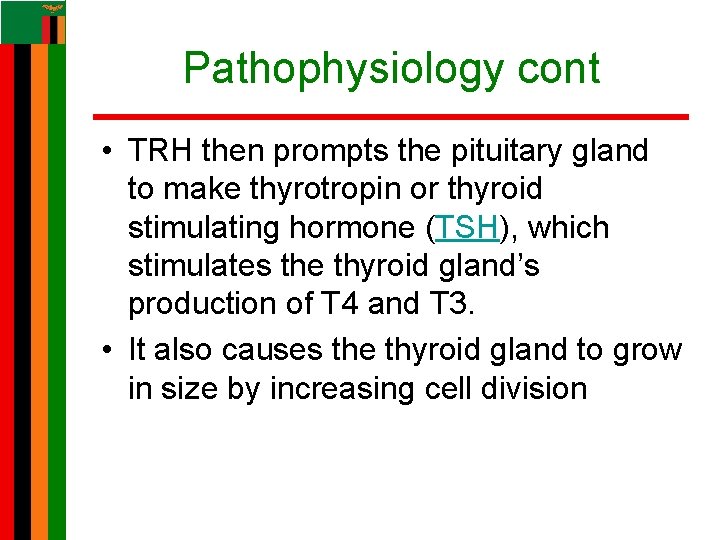 Pathophysiology cont • TRH then prompts the pituitary gland to make thyrotropin or thyroid Pathophysiology cont • TRH then prompts the pituitary gland to make thyrotropin or thyroid