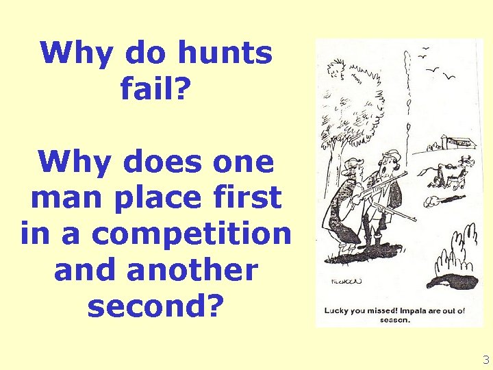 Why do hunts fail? Why does one man place first in a competition and