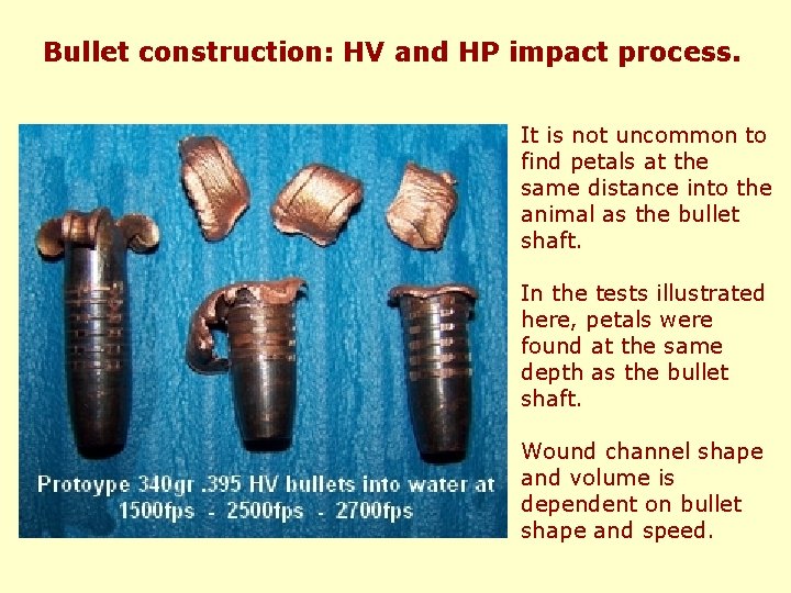 Bullet construction: HV and HP impact process. It is not uncommon to find petals