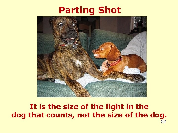 Parting Shot It is the size of the fight in the dog that counts,