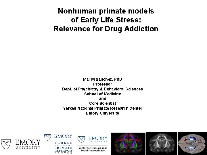 Nonhuman primate models of Early Life Stress: Relevance for Drug Addiction Mar M Sanchez,