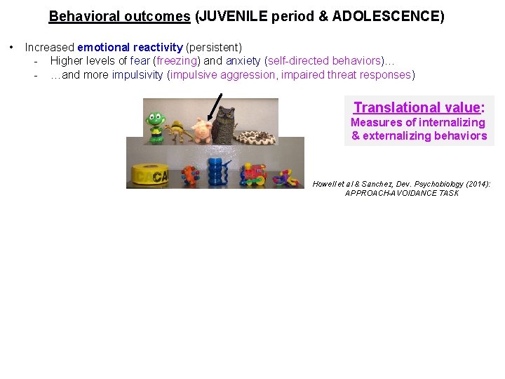 Behavioral outcomes (JUVENILE period & ADOLESCENCE) • Increased emotional reactivity (persistent) - Higher levels