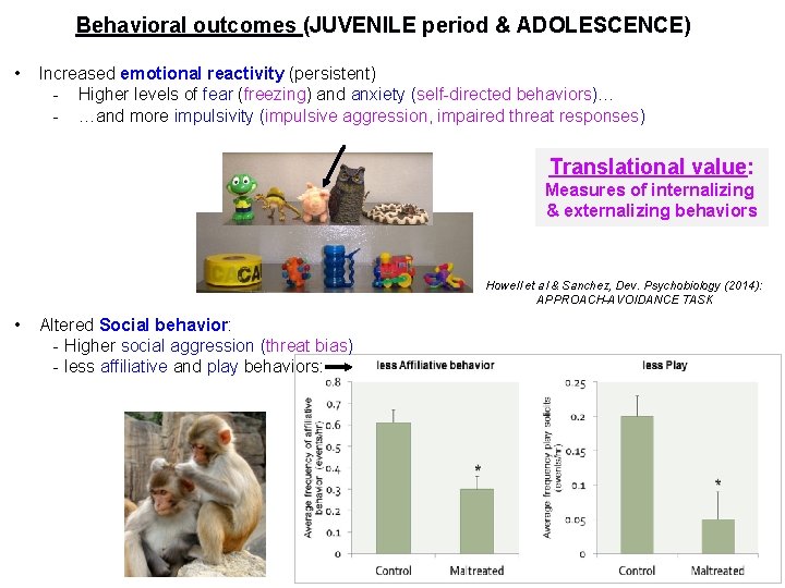 Behavioral outcomes (JUVENILE period & ADOLESCENCE) • Increased emotional reactivity (persistent) - Higher levels