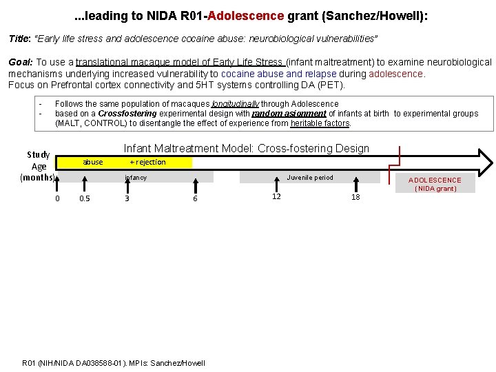 . . . leading to NIDA R 01 -Adolescence grant (Sanchez/Howell): Title: “Early life