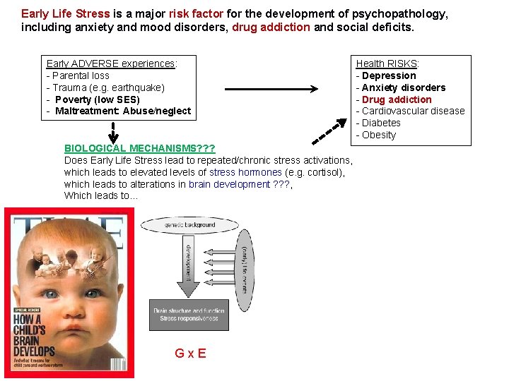 Early Life Stress is a major risk factor for the development of psychopathology, including