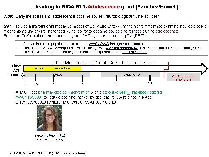 . . . leading to NIDA R 01 -Adolescence grant (Sanchez/Howell): Title: “Early life