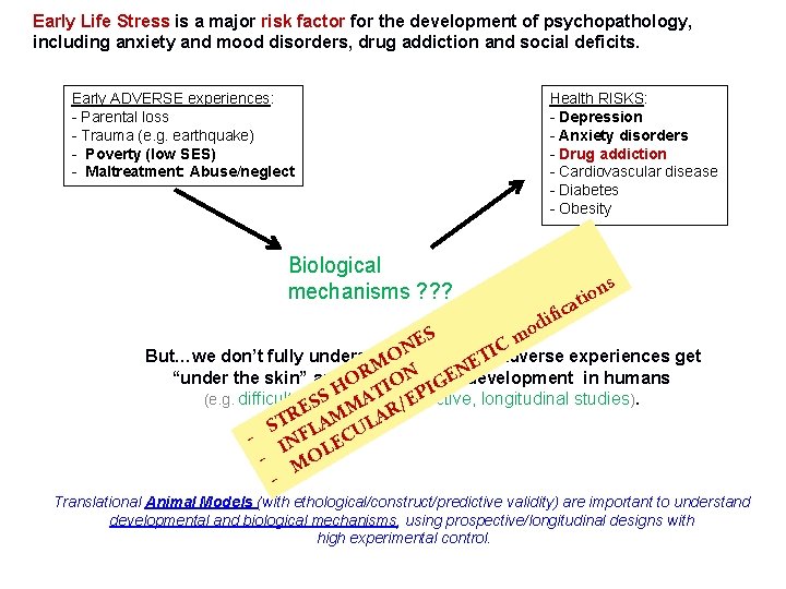 Early Life Stress is a major risk factor for the development of psychopathology, including