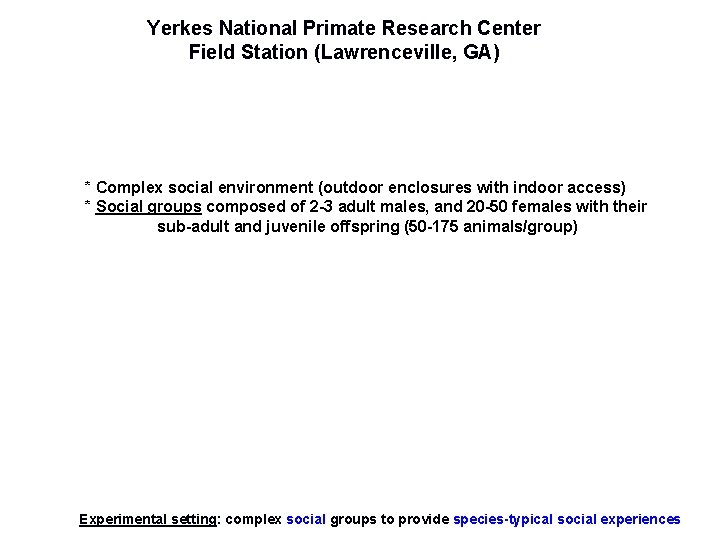 Yerkes National Primate Research Center Field Station (Lawrenceville, GA) * Complex social environment (outdoor