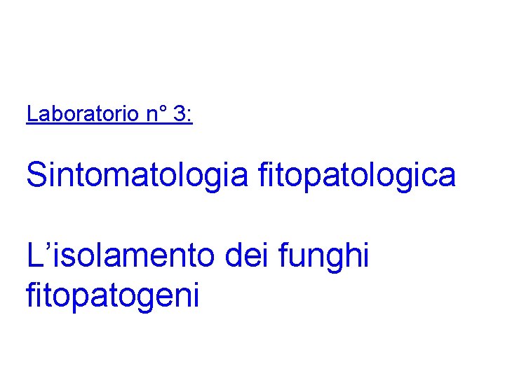 Laboratorio n° 3: Sintomatologia fitopatologica L’isolamento dei funghi fitopatogeni 