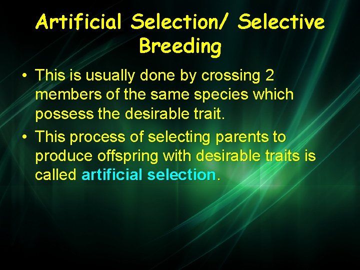Artificial Selection/ Selective Breeding • This is usually done by crossing 2 members of