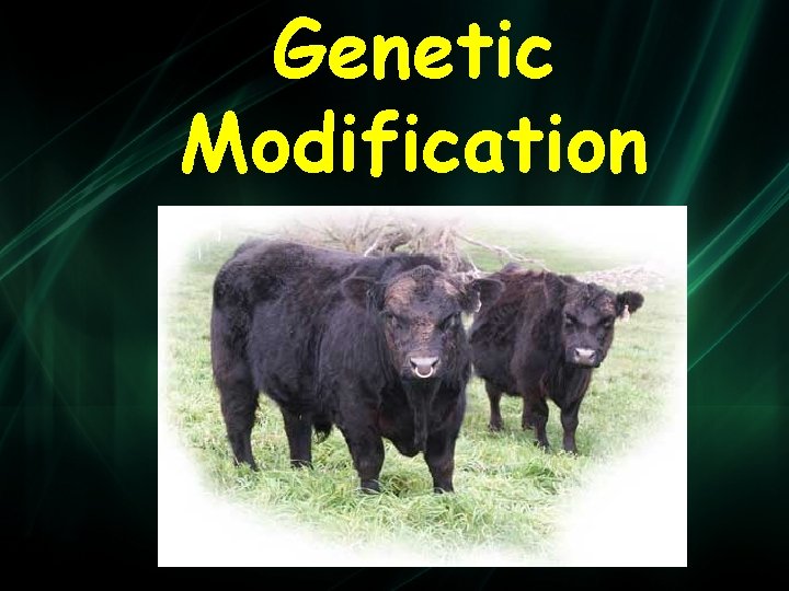 Genetic Modification 