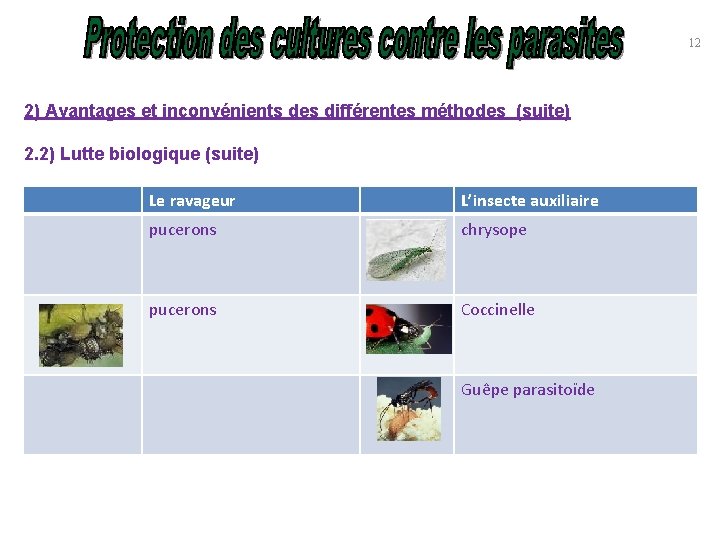 12 2) Avantages et inconvénients des différentes méthodes (suite) 2. 2) Lutte biologique (suite)