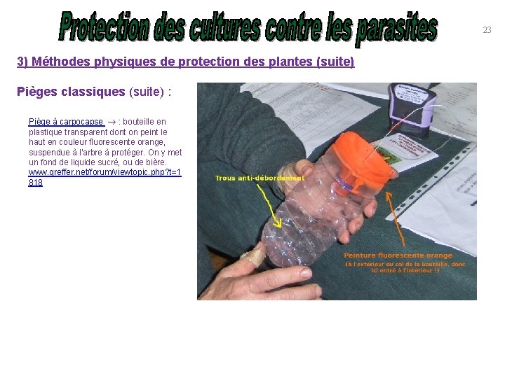 23 3) Méthodes physiques de protection des plantes (suite) Pièges classiques (suite) : Piège