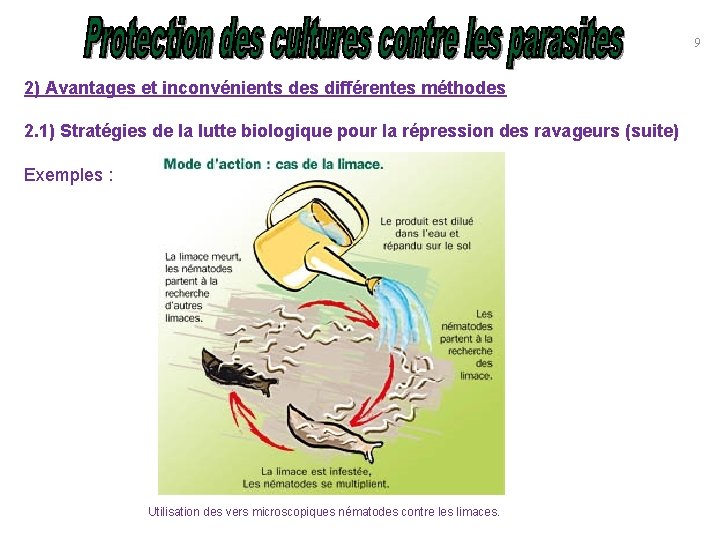 9 2) Avantages et inconvénients des différentes méthodes 2. 1) Stratégies de la lutte