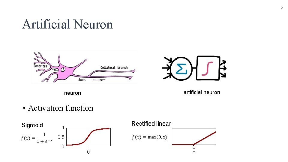 5 Artificial Neuron artificial neuron • Activation function Sigmoid Rectified linear 1 0. 5