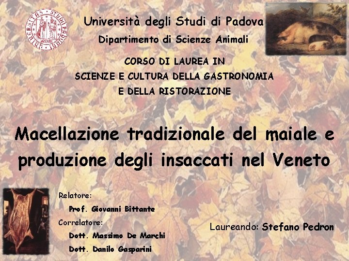 Università degli Studi di Padova Dipartimento di Scienze Animali CORSO DI LAUREA IN SCIENZE