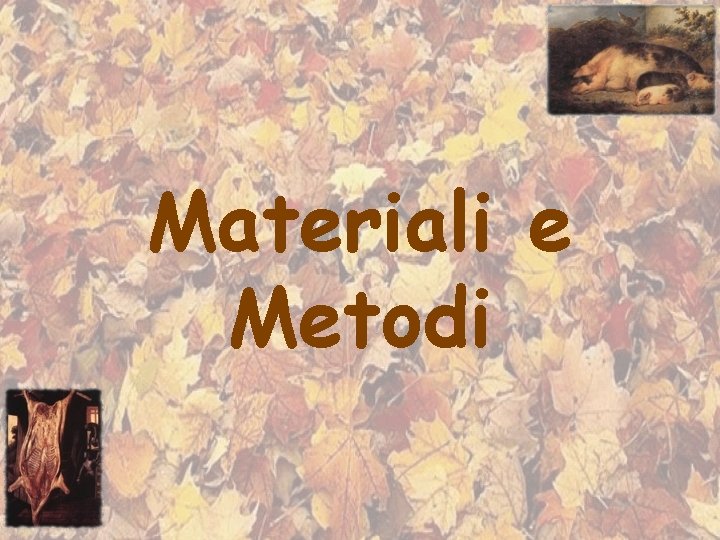 Materiali e Metodi 