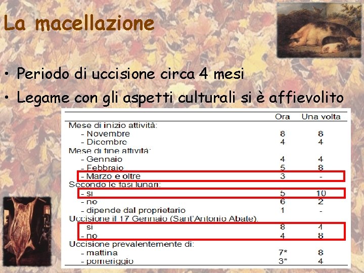 La macellazione • Periodo di uccisione circa 4 mesi • Legame con gli aspetti