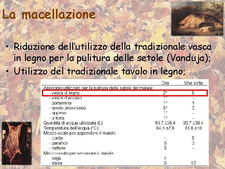 La macellazione • Riduzione dell’utilizzo della tradizionale vasca in legno per la pulitura delle
