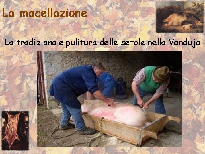 La macellazione La tradizionale pulitura delle setole nella Vanduja 
