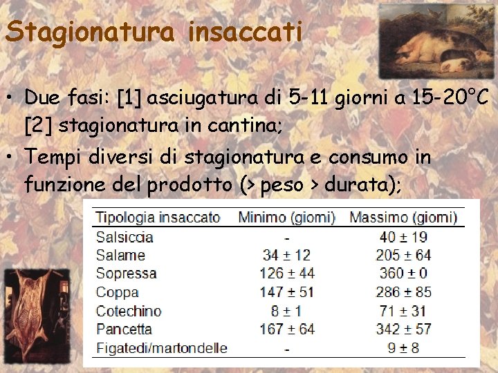 Stagionatura insaccati • Due fasi: [1] asciugatura di 5 -11 giorni a 15 -20°C