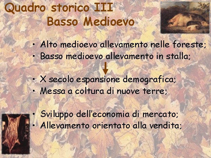 Quadro storico III Basso Medioevo • Alto medioevo allevamento nelle foreste; • Basso medioevo